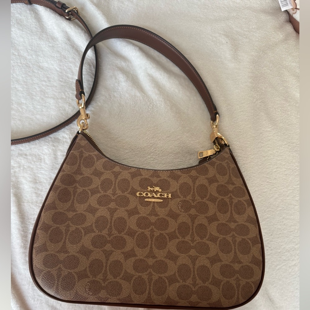 Coach Teri Hobo Shoulder Bag